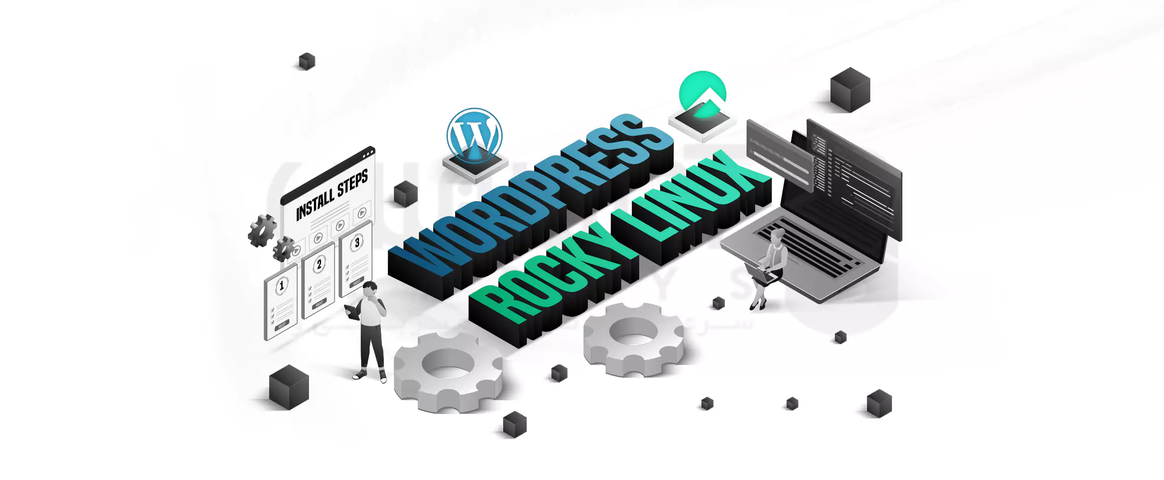 How to install WordPress on Rocky