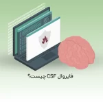 فایروال CSF چیست؟ - آذرسیس