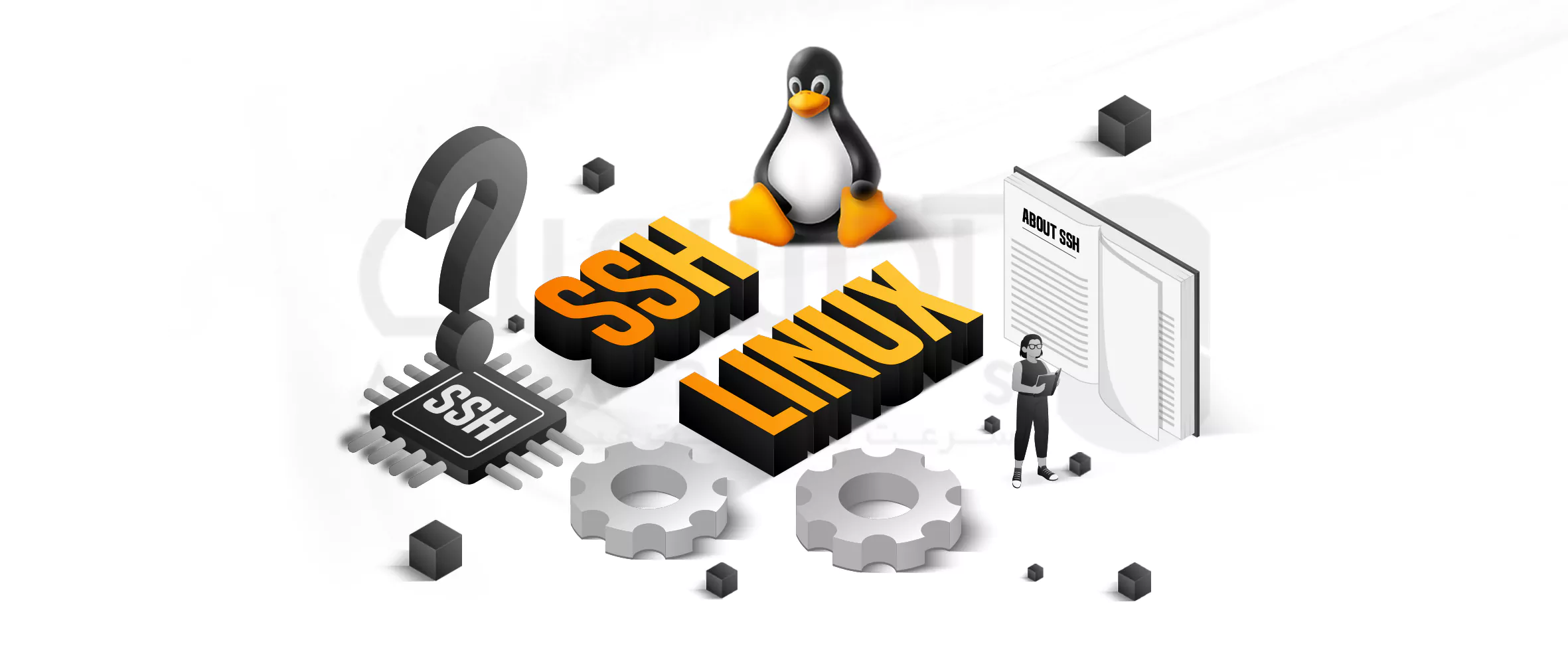 What is Linux SSH