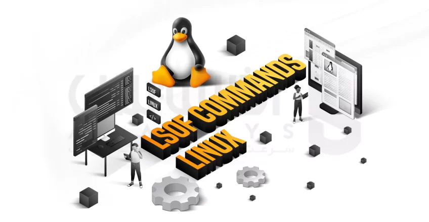 lsof commands in Linux