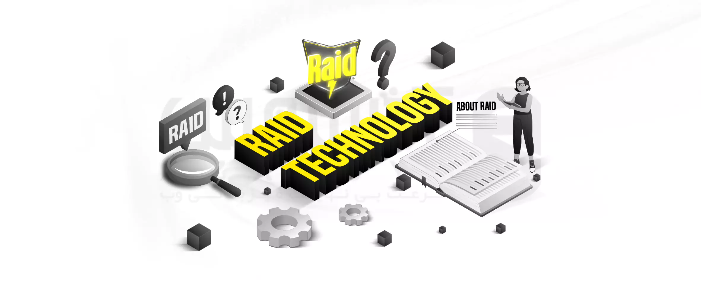 Introduction of Raid technology checking the difference and its application in the server